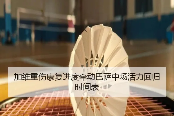 加维重伤康复进度牵动巴萨中场活力回归时间表（kaiyun）