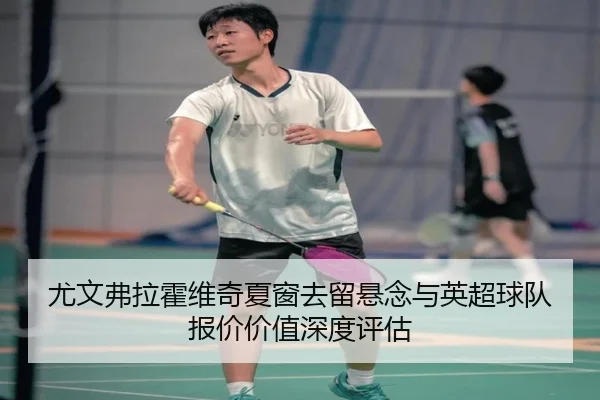 尤文弗拉霍维奇夏窗去留悬念与英超球队报价价值深度评估（kaiyun）